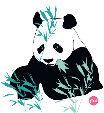 Avis sur le zoo des pandas